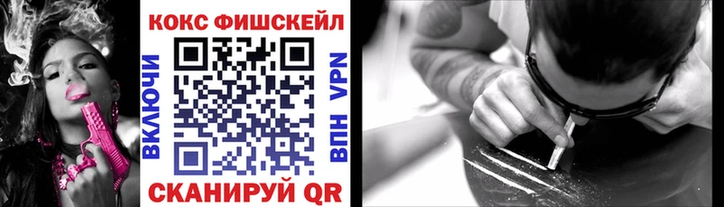 Купить закладки  Туринск  КОКАИН FishScale 