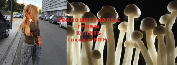 дмт Бронницы