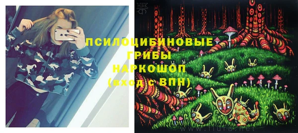 дмт Бронницы