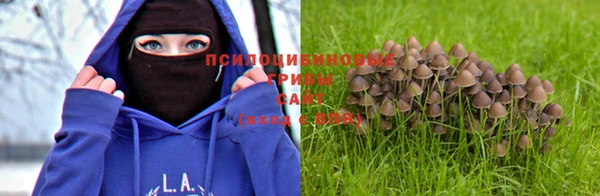 гашик Бугульма