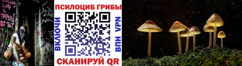 Псилоцибиновые грибы MAGIC MUSHROOMS  Купить закладки  Туринск 