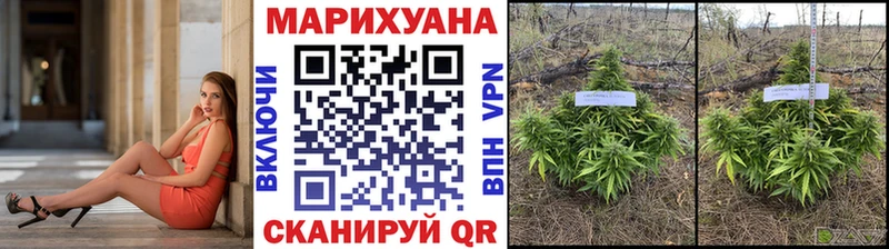 Купить где  Туринск  Бошки марихуана AK-47 